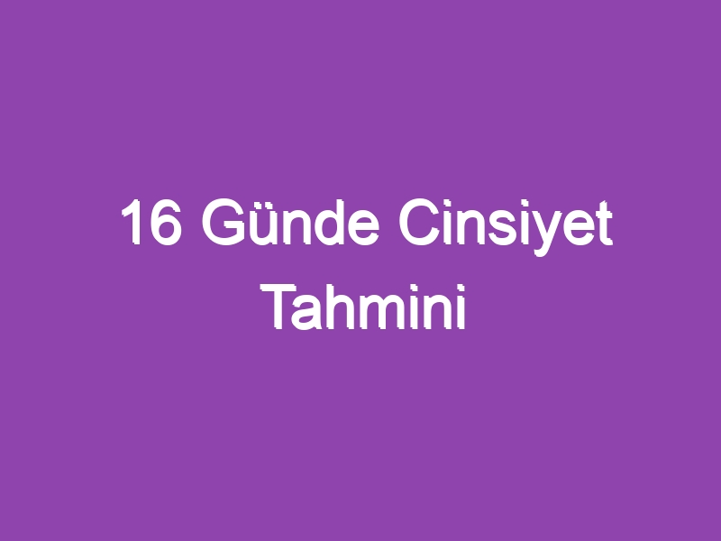 16 Günde Cinsiyet Tahmini