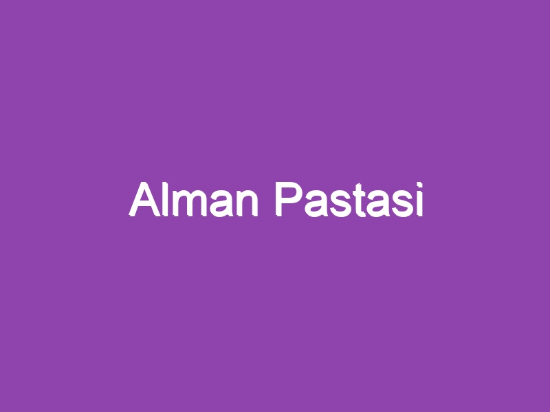 Alman Pastasi