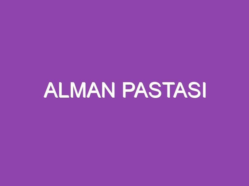 ALMAN PASTASI