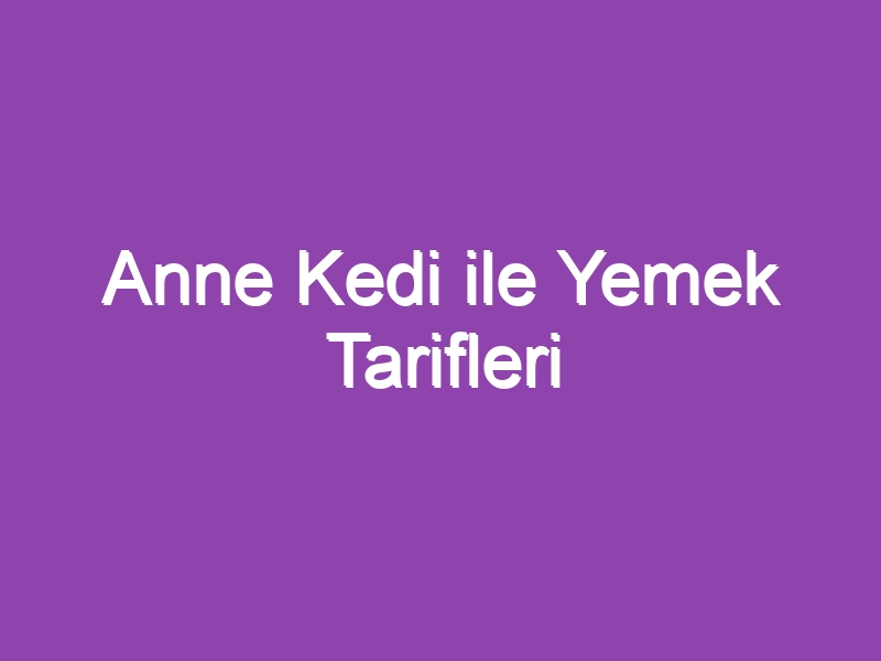 Anne Kedi ile Yemek Tarifleri