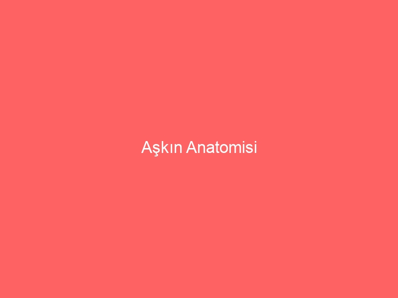 Aşkın Anatomisi