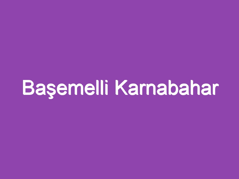 Başemelli Karnabahar