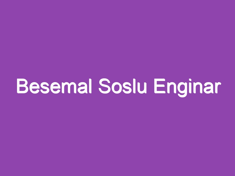 Besemal Soslu Enginar