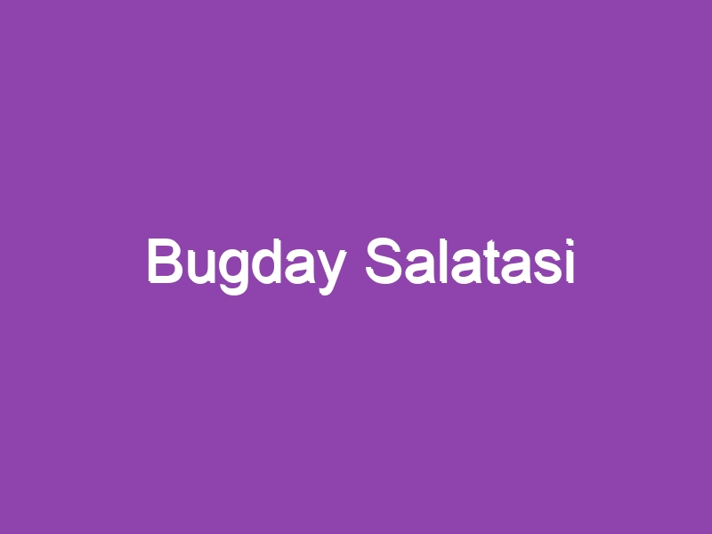 Bugday Salatasi