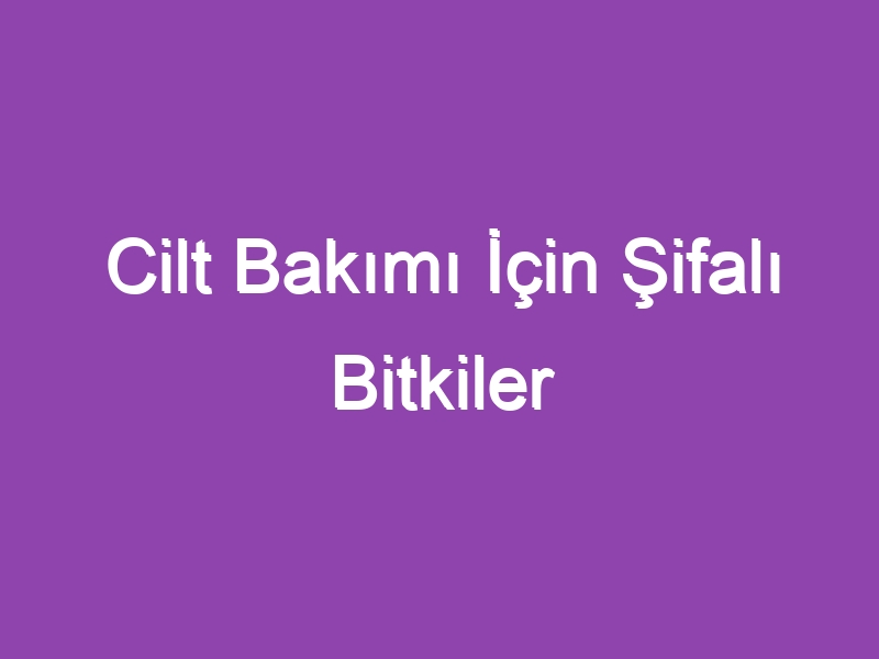 Cilt Bakımı İçin Şifalı Bitkiler