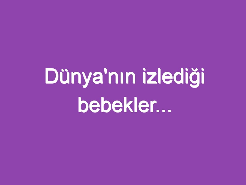 Dünya’nın izlediği bebekler…