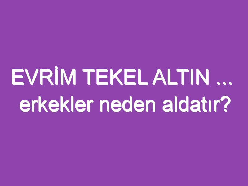 EVRİM TEKEL ALTIN …  erkekler neden aldatır?