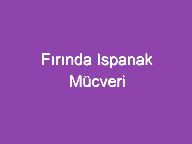 Fırında Ispanak Mücveri