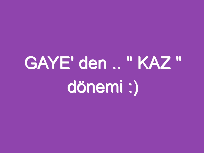 GAYE’ den .. ” KAZ ” dönemi :)