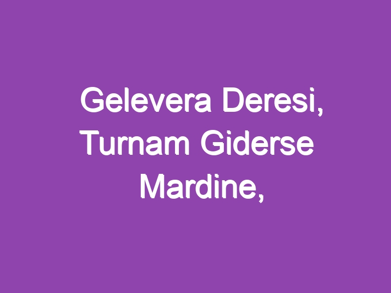 Gelevera Deresi, Turnam Giderse Mardine, Saçlarını Taramışsın, Lale Devri…