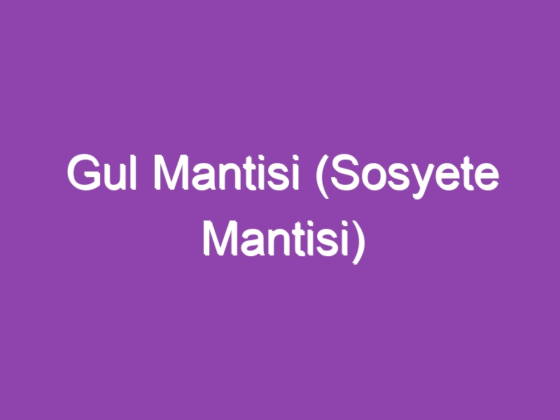 Gul Mantisi (Sosyete Mantisi)