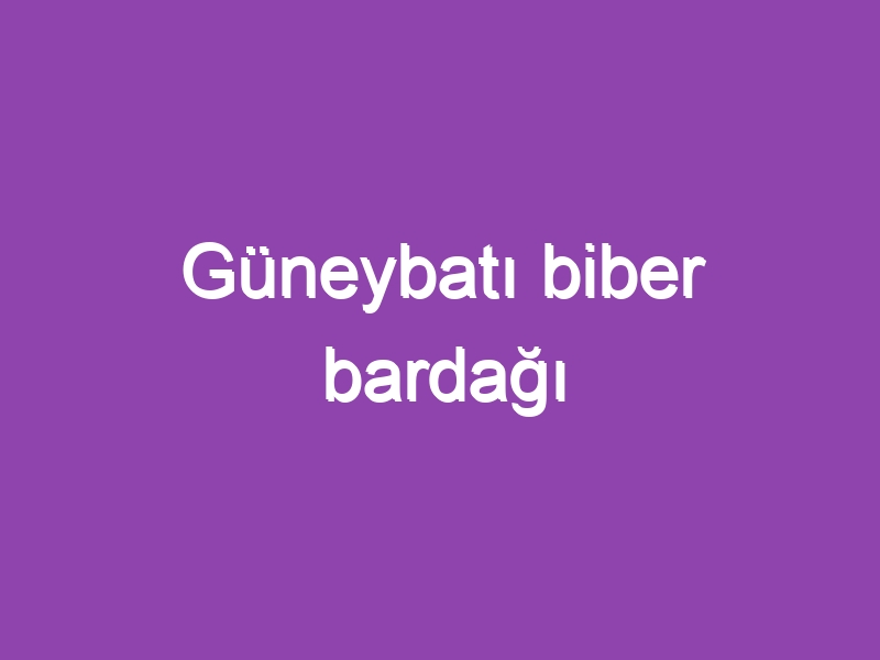 Güneybatı biber bardağı