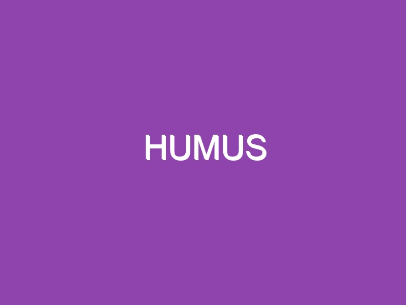 HUMUS