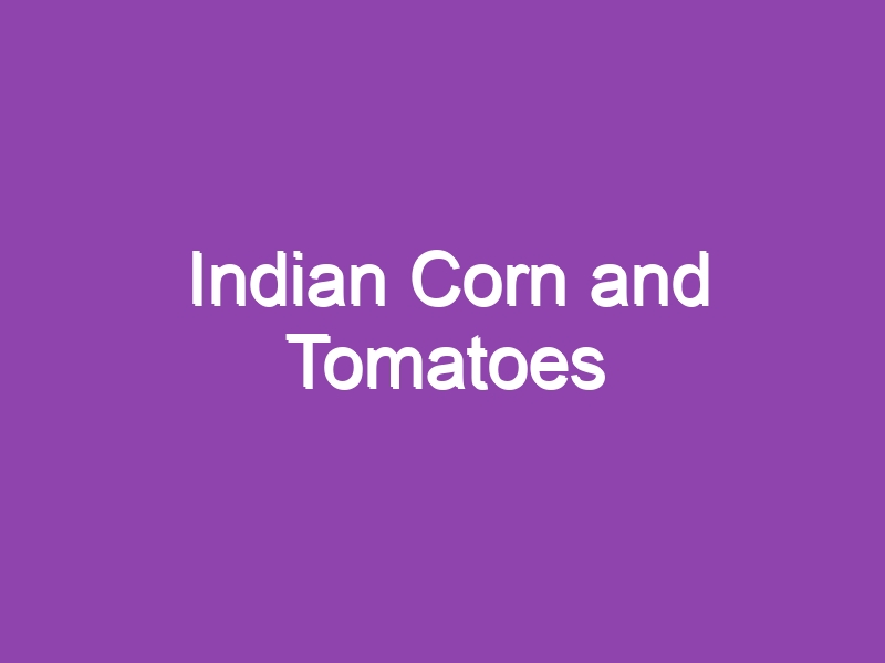 Indian Corn and Tomatoes