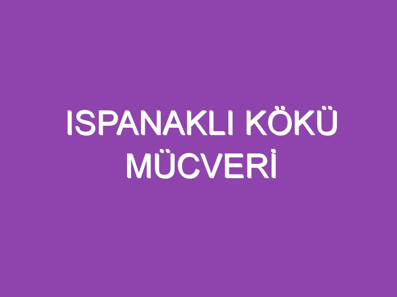 ISPANAKLI KÖKÜ MÜCVERİ