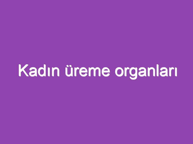 Kadın üreme organları