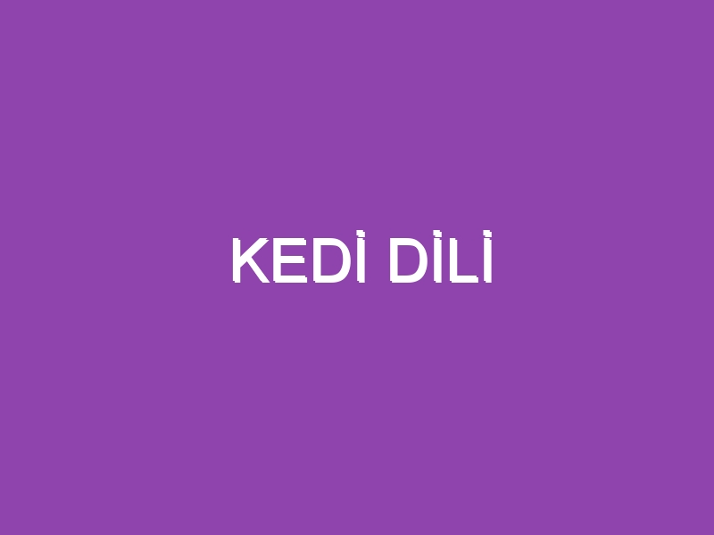 KEDİ DİLİ