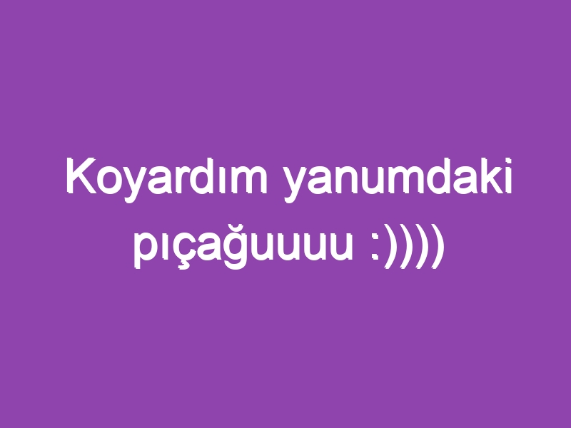 Koyardım yanumdaki pıçağuuuu :))))