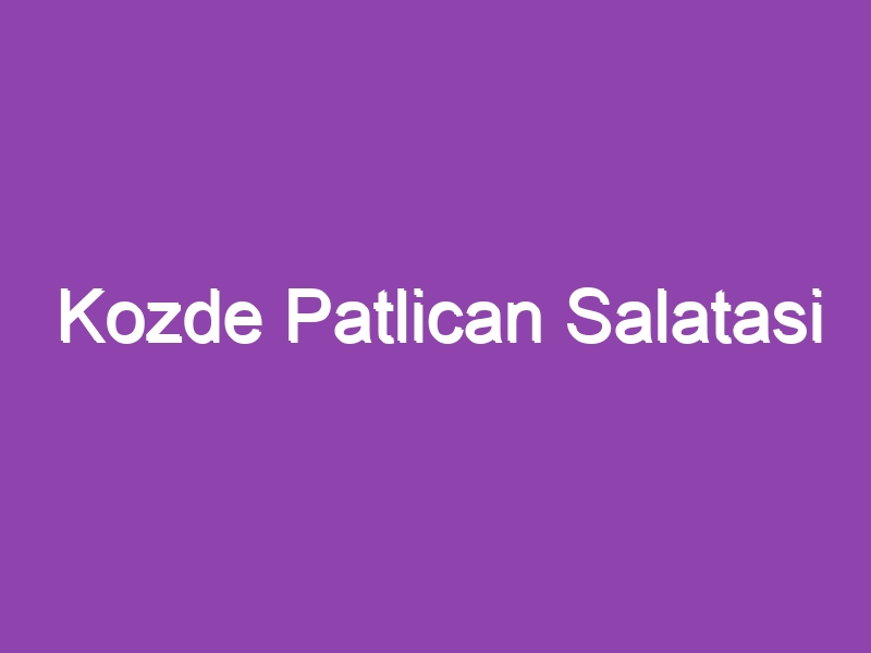 Kozde Patlican Salatasi