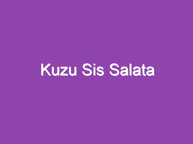 Kuzu Sis Salata