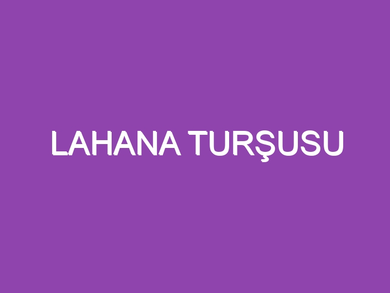 LAHANA TURŞUSU