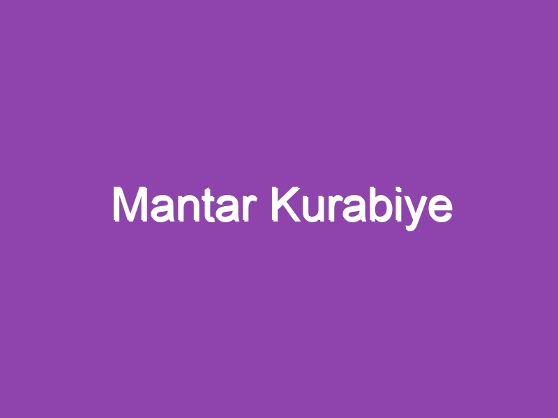 Mantar Kurabiye