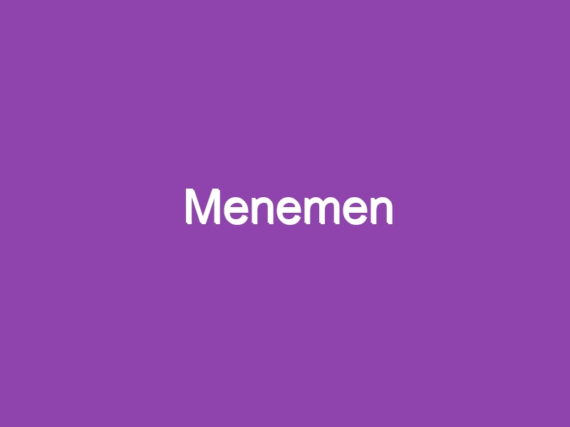 Menemen