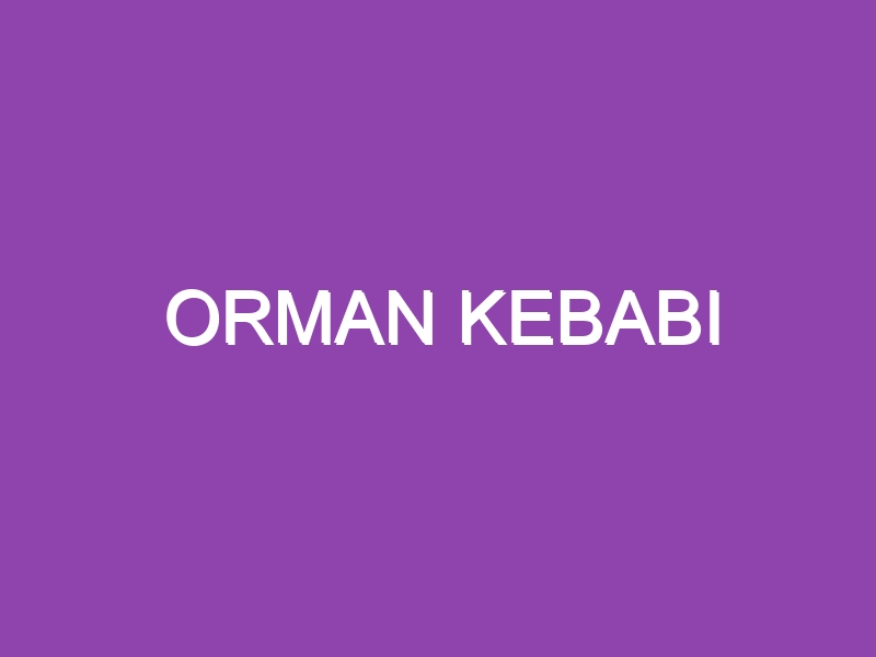 ORMAN KEBABI