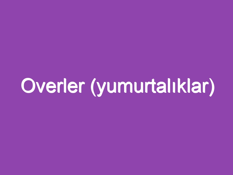 Overler (yumurtalıklar)