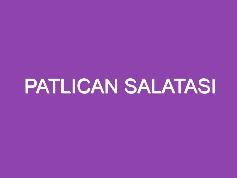 PATLICAN SALATASI