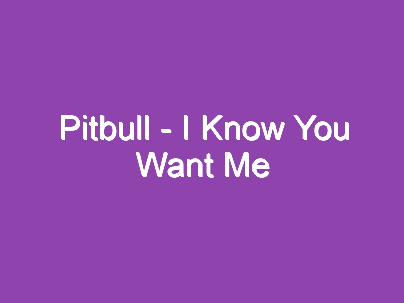 Pitbull – I Know You Want Me