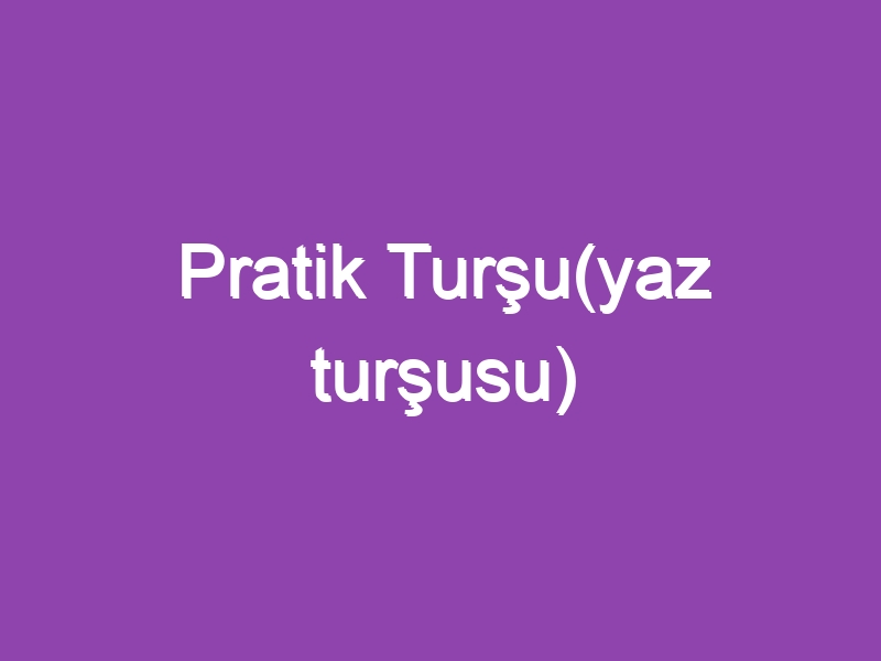 Pratik Turşu(yaz turşusu)