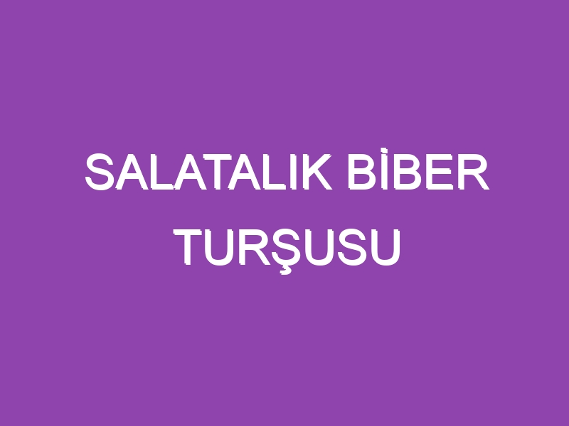 SALATALIK BİBER TURŞUSU