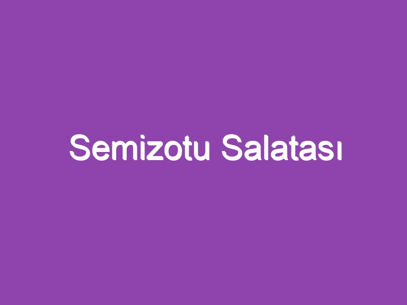 Semizotu Salatası