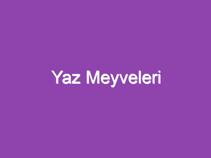 Yaz Meyveleri