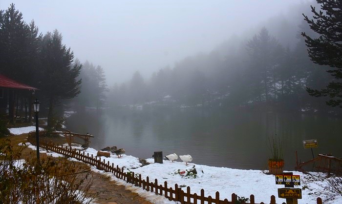 Turistler İçin Yeni Kış Rotası: Limni Gölü Tabiat Parkı